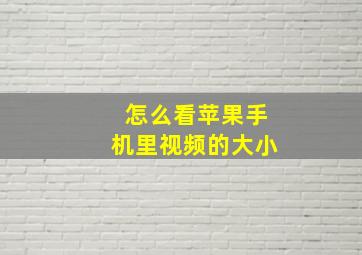 怎么看苹果手机里视频的大小