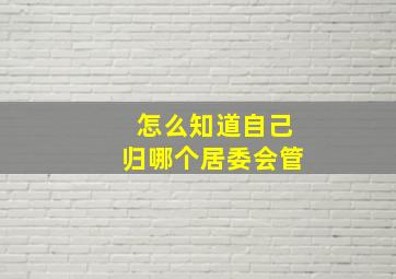 怎么知道自己归哪个居委会管