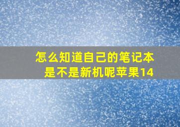 怎么知道自己的笔记本是不是新机呢苹果14