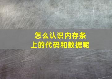 怎么认识内存条上的代码和数据呢