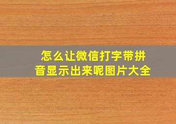 怎么让微信打字带拼音显示出来呢图片大全