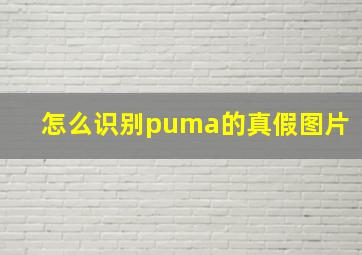 怎么识别puma的真假图片