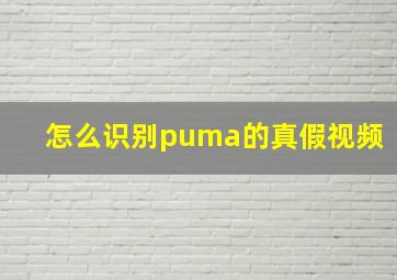 怎么识别puma的真假视频