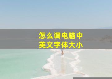 怎么调电脑中英文字体大小