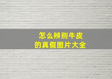 怎么辨别牛皮的真假图片大全