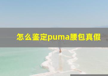 怎么鉴定puma腰包真假