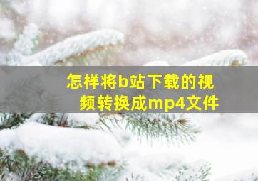 怎样将b站下载的视频转换成mp4文件