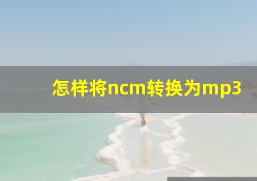 怎样将ncm转换为mp3