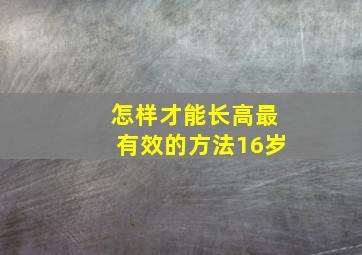 怎样才能长高最有效的方法16岁