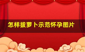 怎样拔萝卜示范怀孕图片