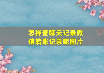 怎样查聊天记录微信转账记录呢图片