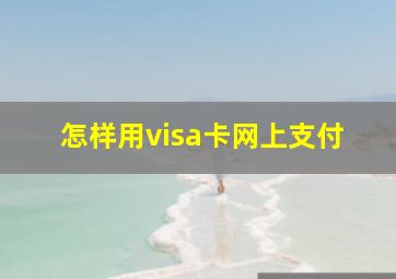 怎样用visa卡网上支付