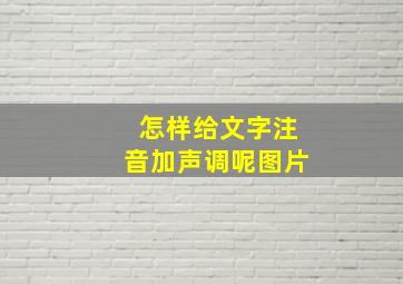 怎样给文字注音加声调呢图片