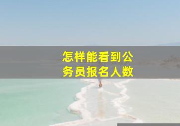 怎样能看到公务员报名人数