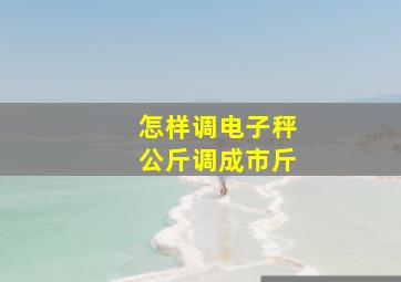 怎样调电子秤公斤调成市斤