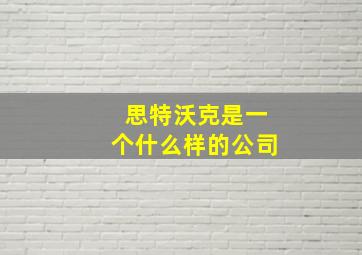 思特沃克是一个什么样的公司