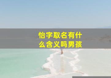 怡字取名有什么含义吗男孩