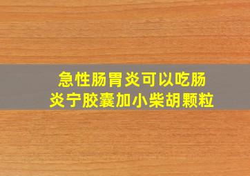 急性肠胃炎可以吃肠炎宁胶囊加小柴胡颗粒