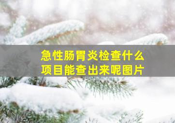 急性肠胃炎检查什么项目能查出来呢图片