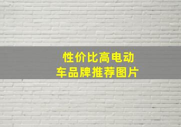 性价比高电动车品牌推荐图片