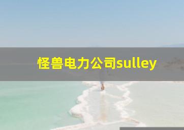 怪兽电力公司sulley