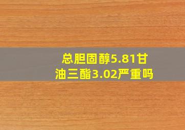 总胆固醇5.81甘油三酯3.02严重吗