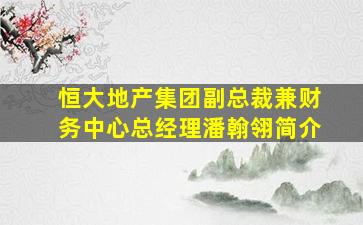 恒大地产集团副总裁兼财务中心总经理潘翰翎简介