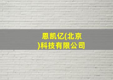 恩凯亿(北京)科技有限公司