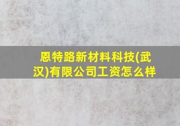 恩特路新材料科技(武汉)有限公司工资怎么样