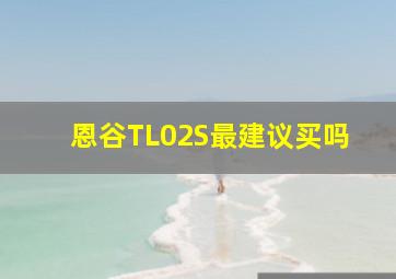 恩谷TL02S最建议买吗