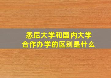 悉尼大学和国内大学合作办学的区别是什么