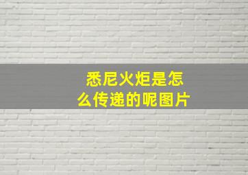 悉尼火炬是怎么传递的呢图片