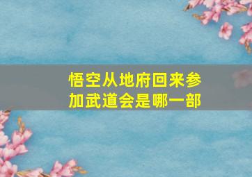 悟空从地府回来参加武道会是哪一部