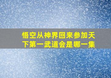 悟空从神界回来参加天下第一武道会是哪一集