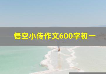 悟空小传作文600字初一