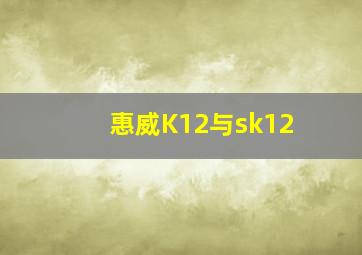 惠威K12与sk12