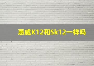 惠威K12和Sk12一样吗