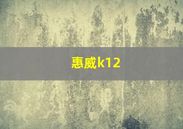 惠威k12