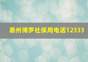 惠州博罗社保局电话12333