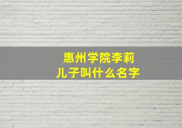 惠州学院李莉儿子叫什么名字