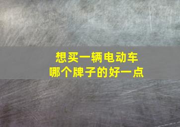 想买一辆电动车哪个牌子的好一点