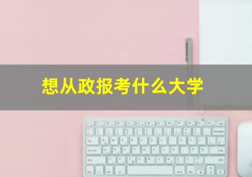 想从政报考什么大学