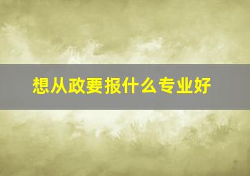 想从政要报什么专业好