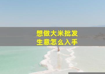 想做大米批发生意怎么入手