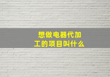 想做电器代加工的项目叫什么