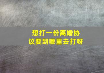 想打一份离婚协议要到哪里去打呀