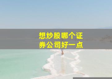 想炒股哪个证券公司好一点