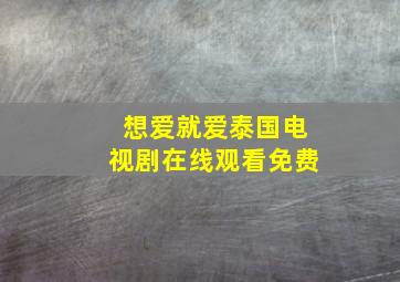 想爱就爱泰国电视剧在线观看免费