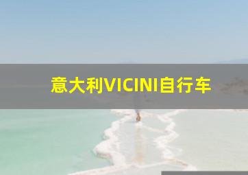 意大利VICINI自行车