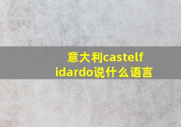 意大利castelfidardo说什么语言